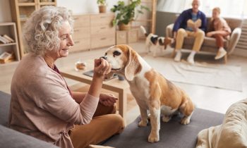 Jakie zwierzątko dla starszej osoby?